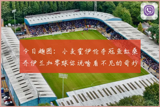 今日趣图：小麦霍伊伦夺冠鱼缸桑乔伊兰加零球你说啥看不见的奇妙瞬间