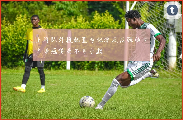 上海队外援配置与化学反应强劲今年争冠势头不可小觑