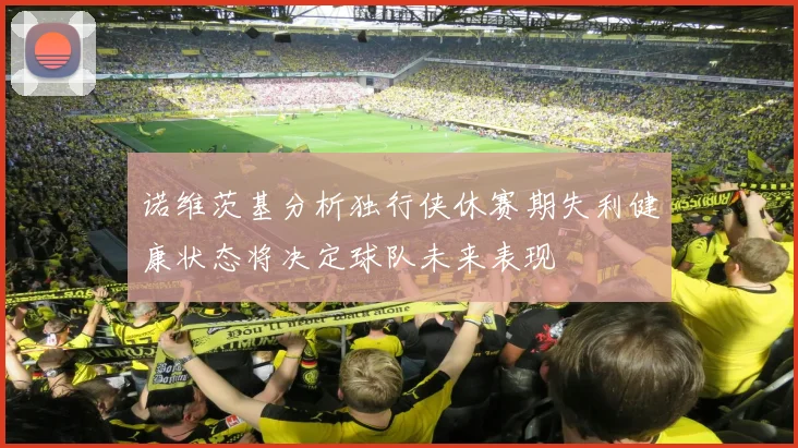 诺维茨基分析独行侠休赛期失利健康状态将决定球队未来表现