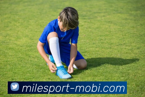 App Interface Preview