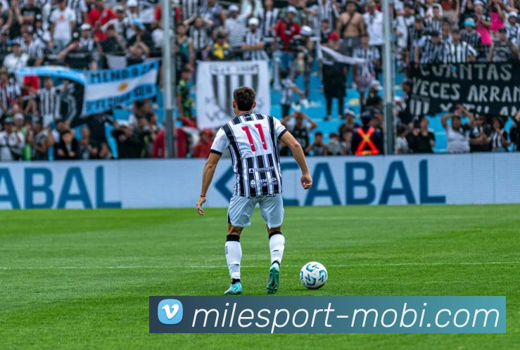 米乐体育APP 封面图